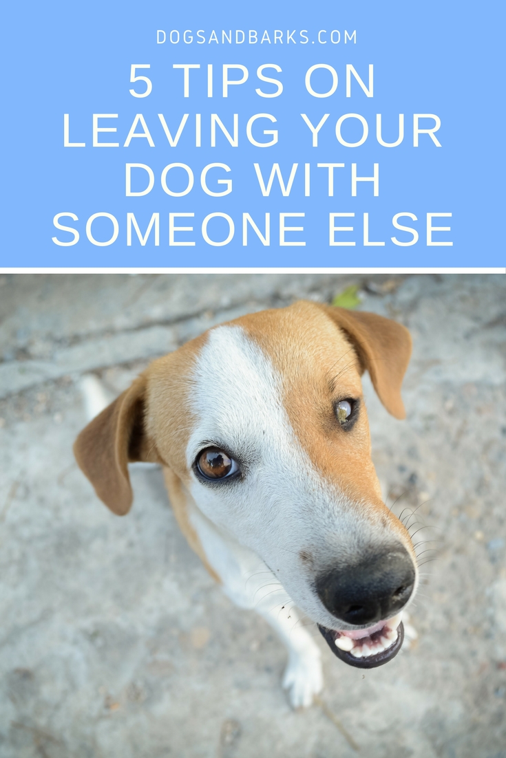 5 Tips On Leaving Your Dog With Someone Else