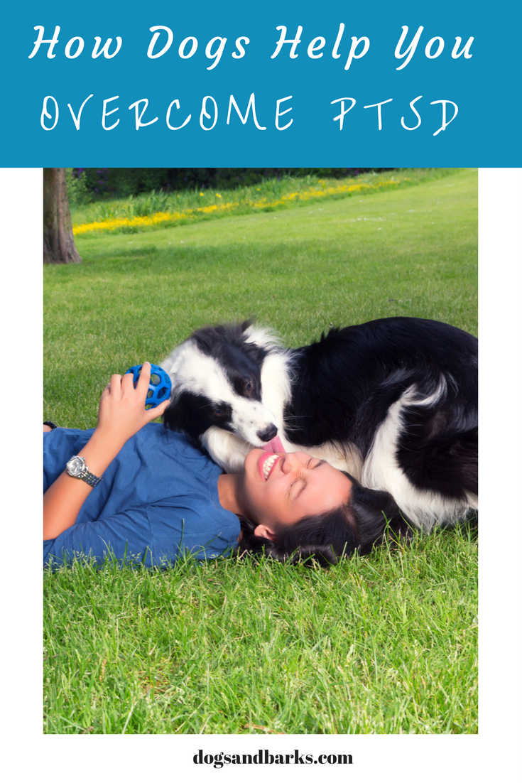 How Dogs Can Help You Overcome PTSD
