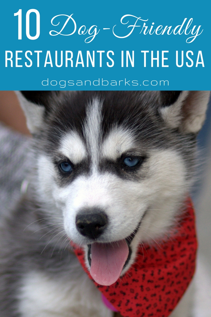 10 Dog Friendly Restaurants in the USA