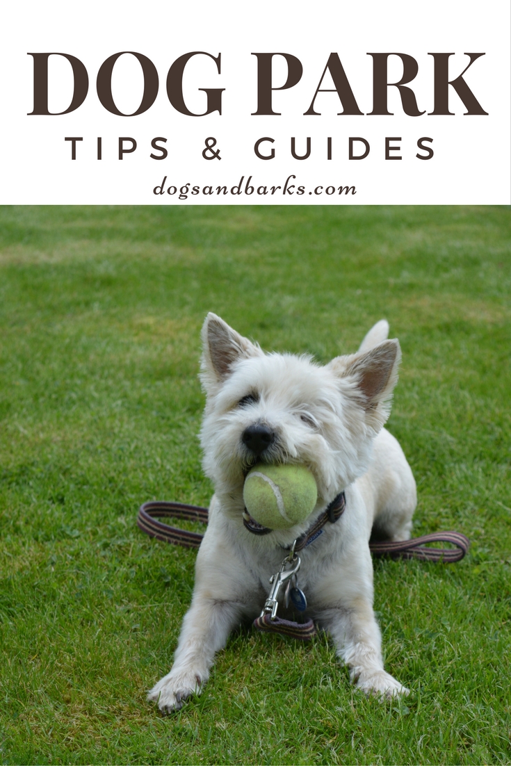 Dog Park Tips & Guides