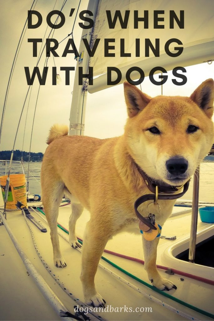 Do’s When Traveling with Dogs