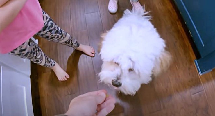 TLC Starlet Blayke Busby Warns About Not Feeding Dogs Grapes