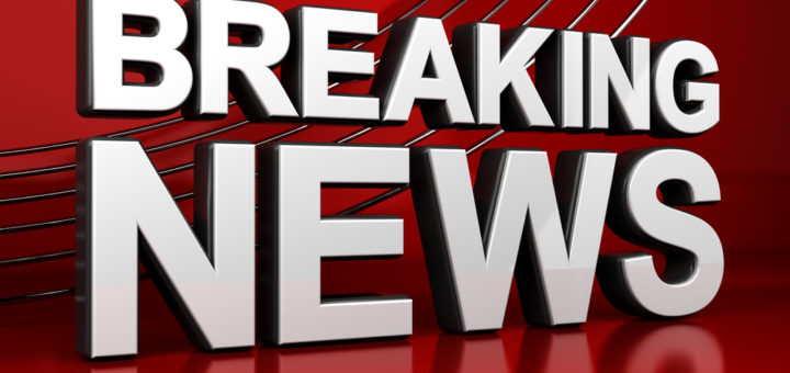 King, A Faithful Golden Retriever Stays By His Dead Owner's Side For Weeks