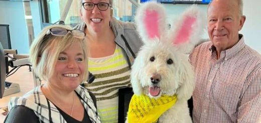 Annie Rose is this years Cadbury Bunny