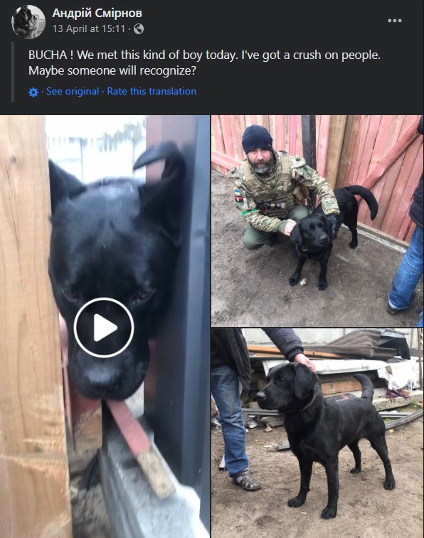 Dog rescued by Andriy Smirnov in Bucha