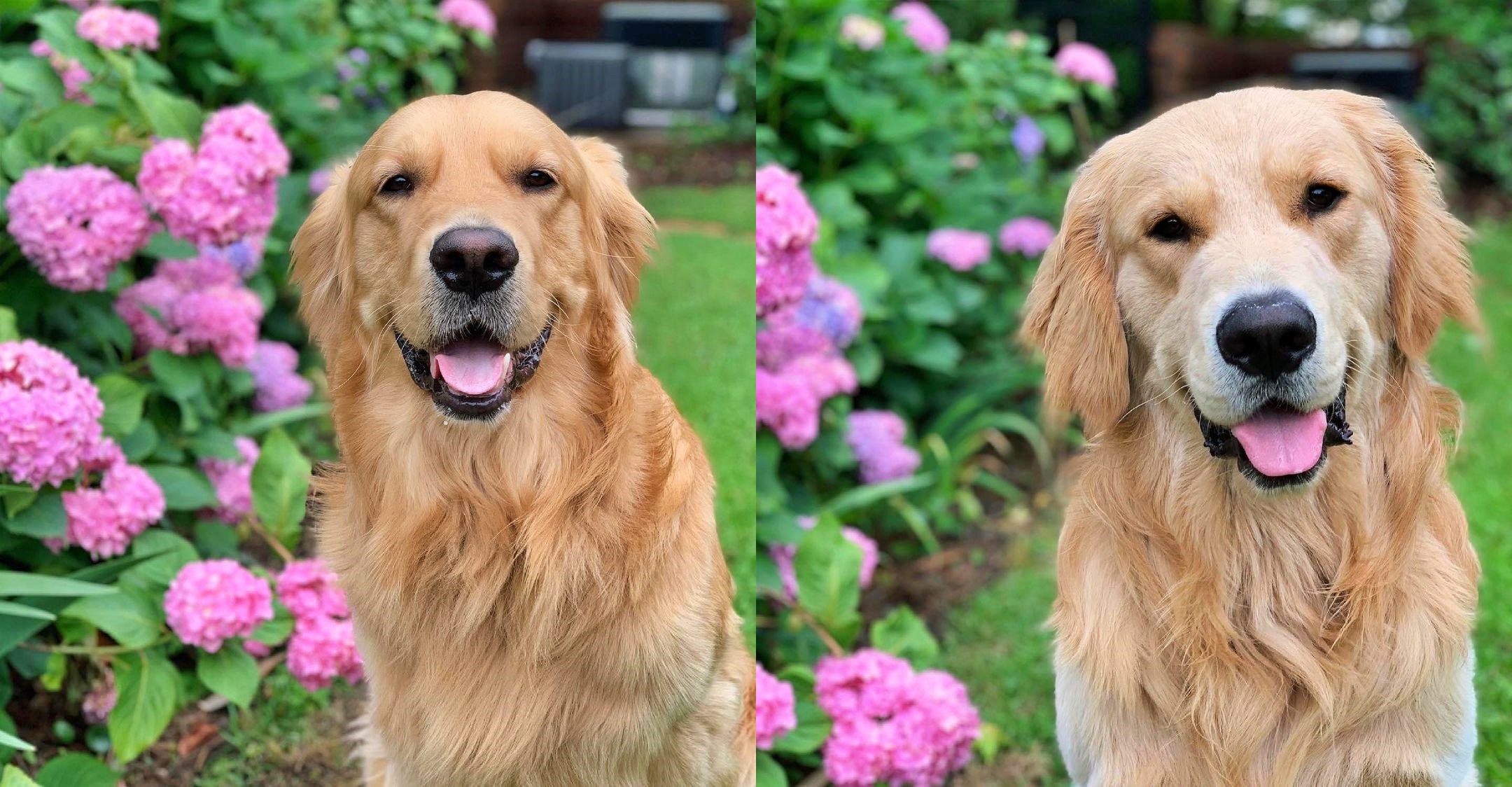 Doug and Winston