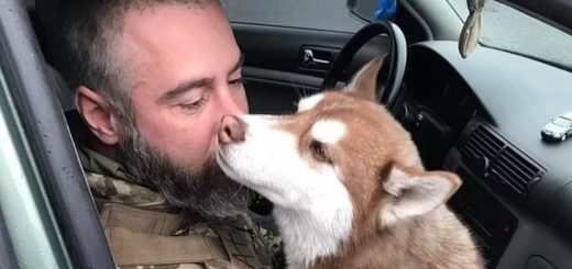 Yukki the Husky with Andriy Smirnov