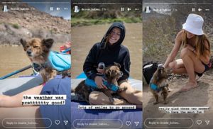 Bachelor Nation Star Caelynn Miller-Keyes Finally Bonds With Her Pup