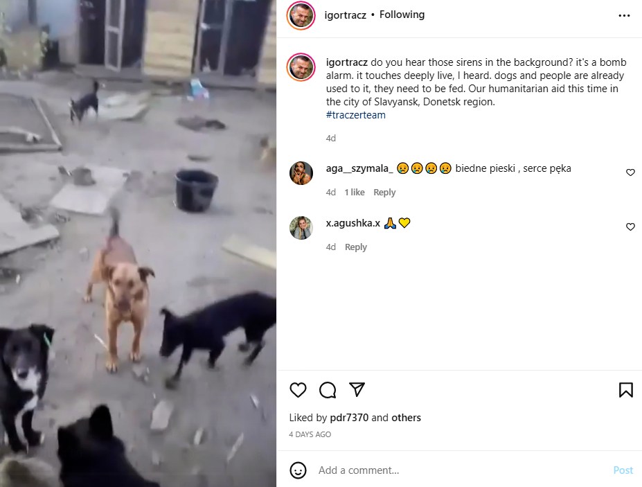 Champion dog sled racer helps dogs in Ukraine