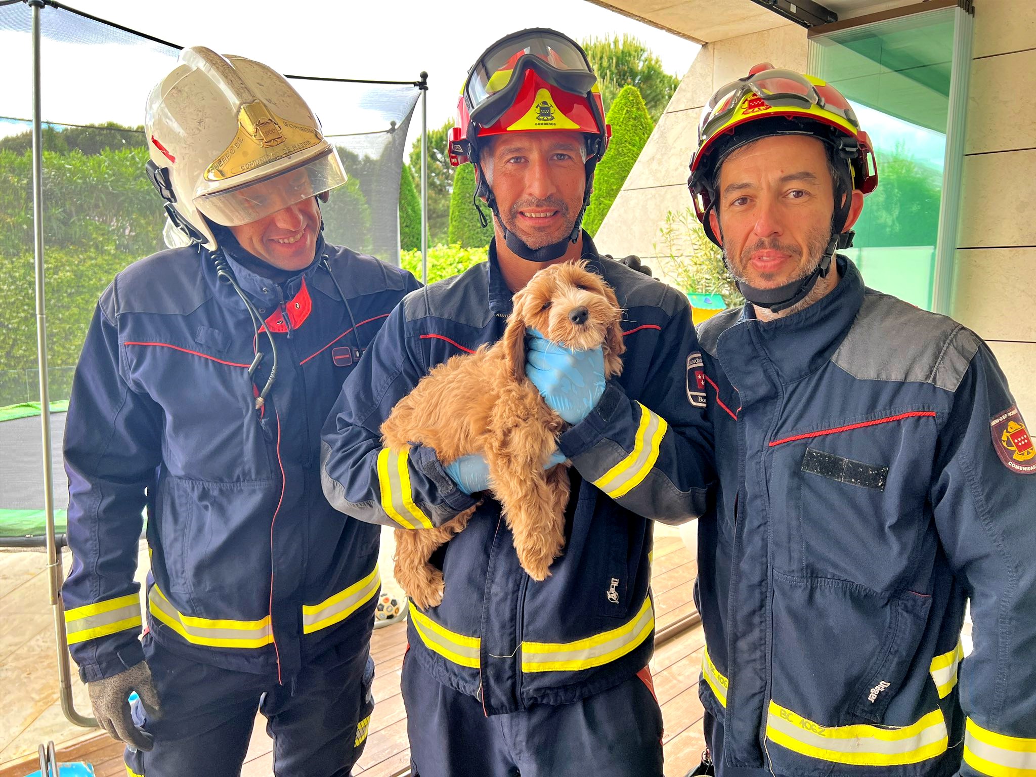 Firefighters in Madrid, Spain rescue a puppy