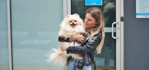 Ukraine dog arrives in the US