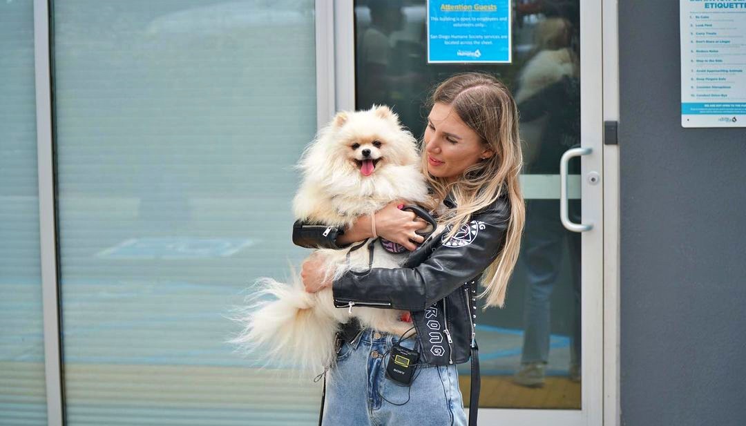 Ukraine dog arrives in the US