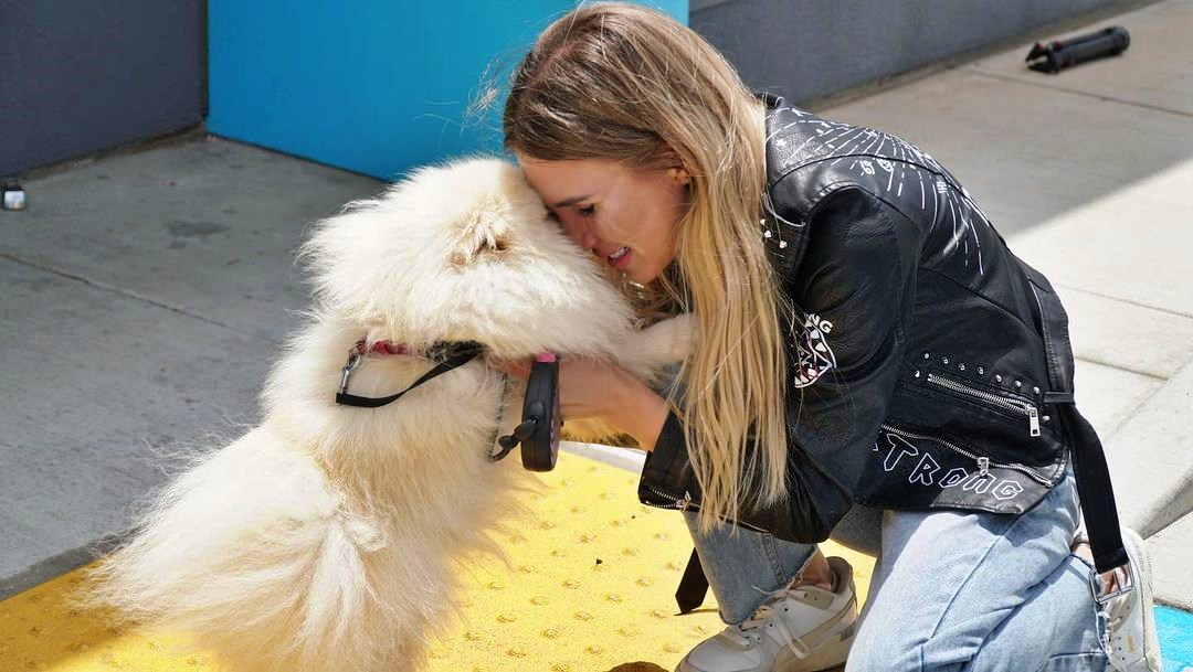 Ukraine dog arrives in the US