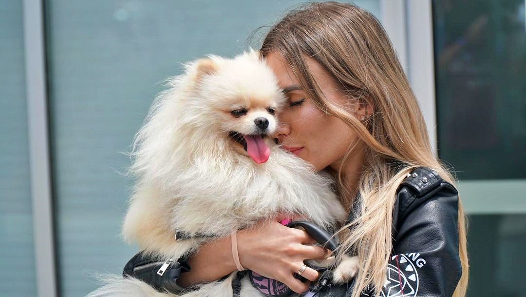 Ukraine dog arrives in the US
