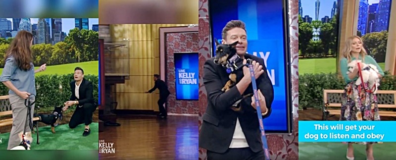 Live With Kelly And Ryan Co-Host Ryan Seacrest Has A Dogs Day