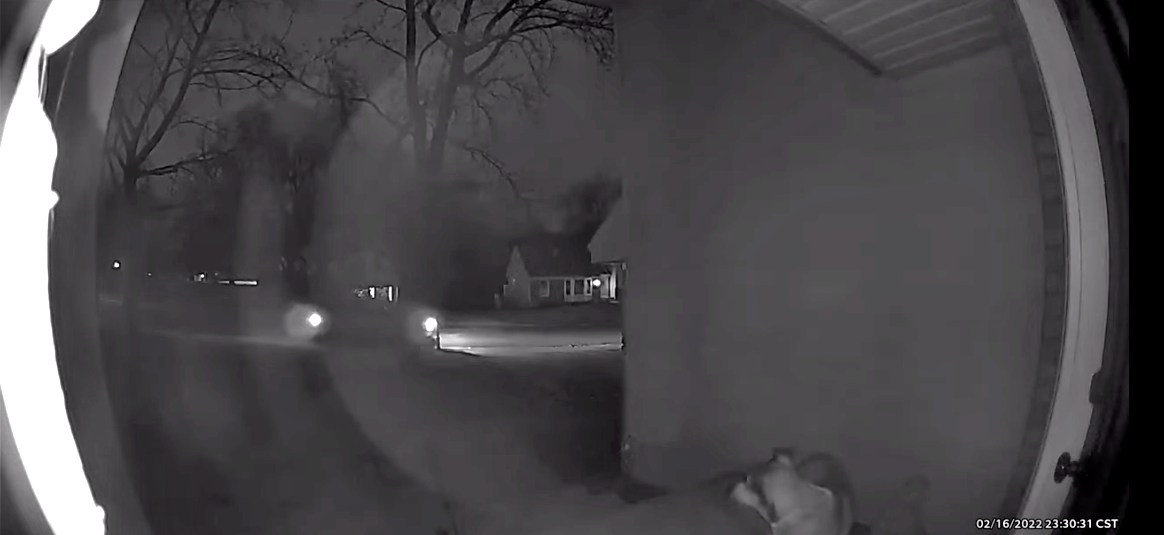 Dog escapes pet hotel and gets caught on security video