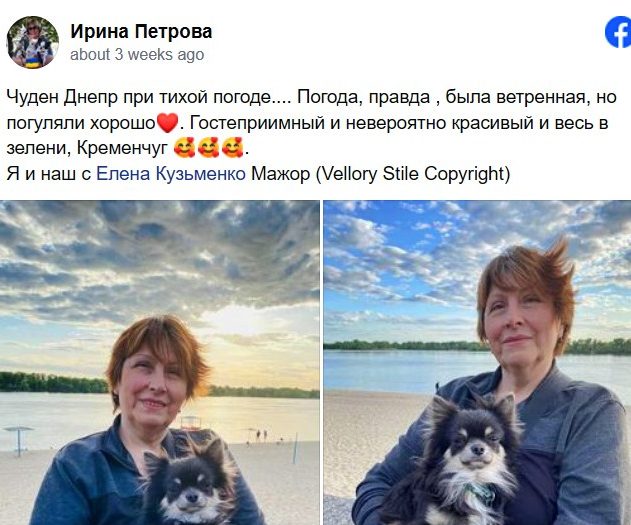 Irina Petrova rescued 30 Chihuahuas from Mariupol, Ukraine
