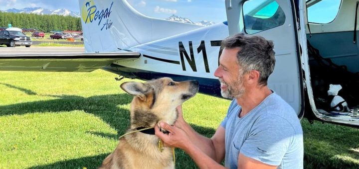 Leon, an Iditarod sled dog has been found after 3 months