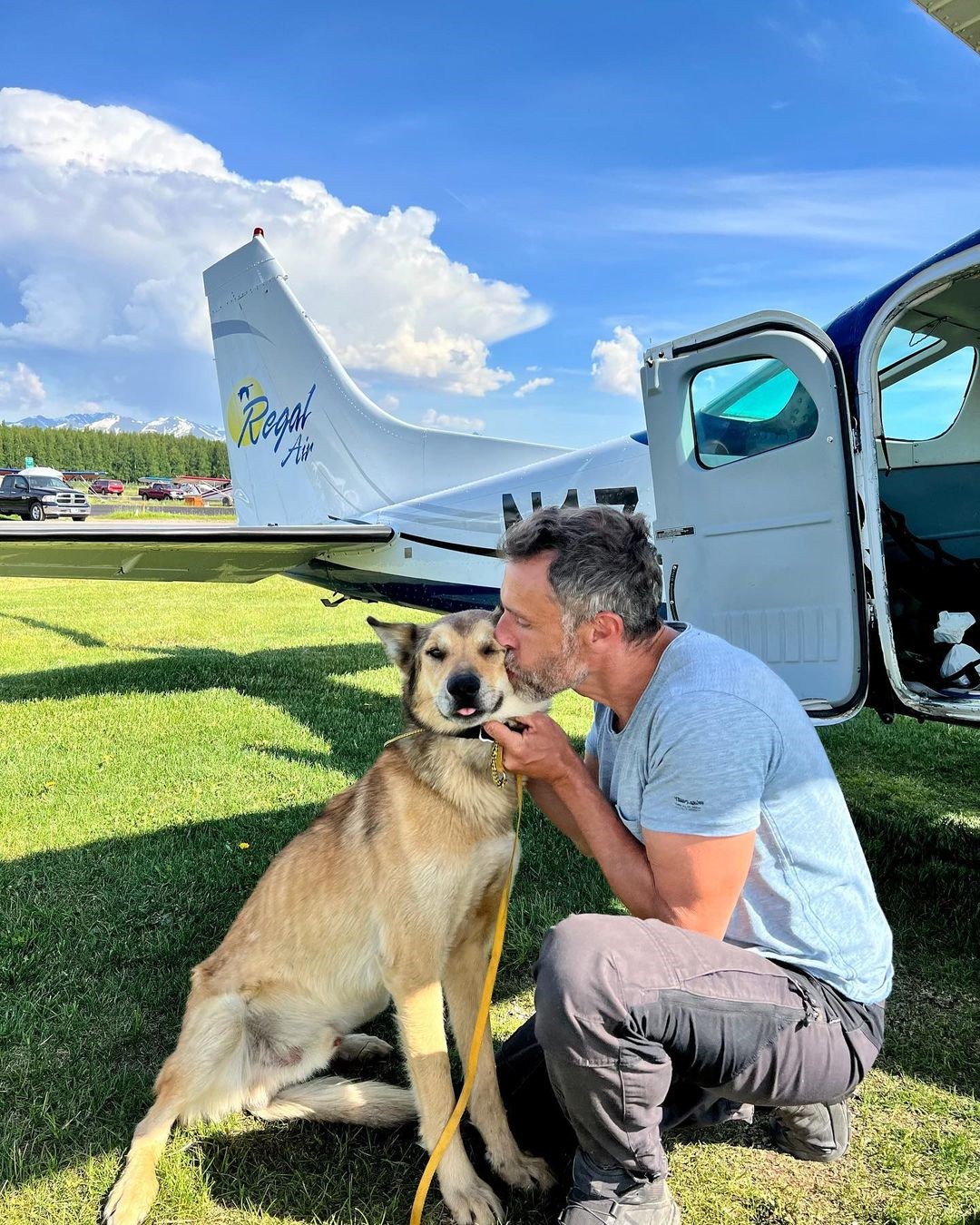 Leon, an Iditarod sled dog has been found after 3 months
