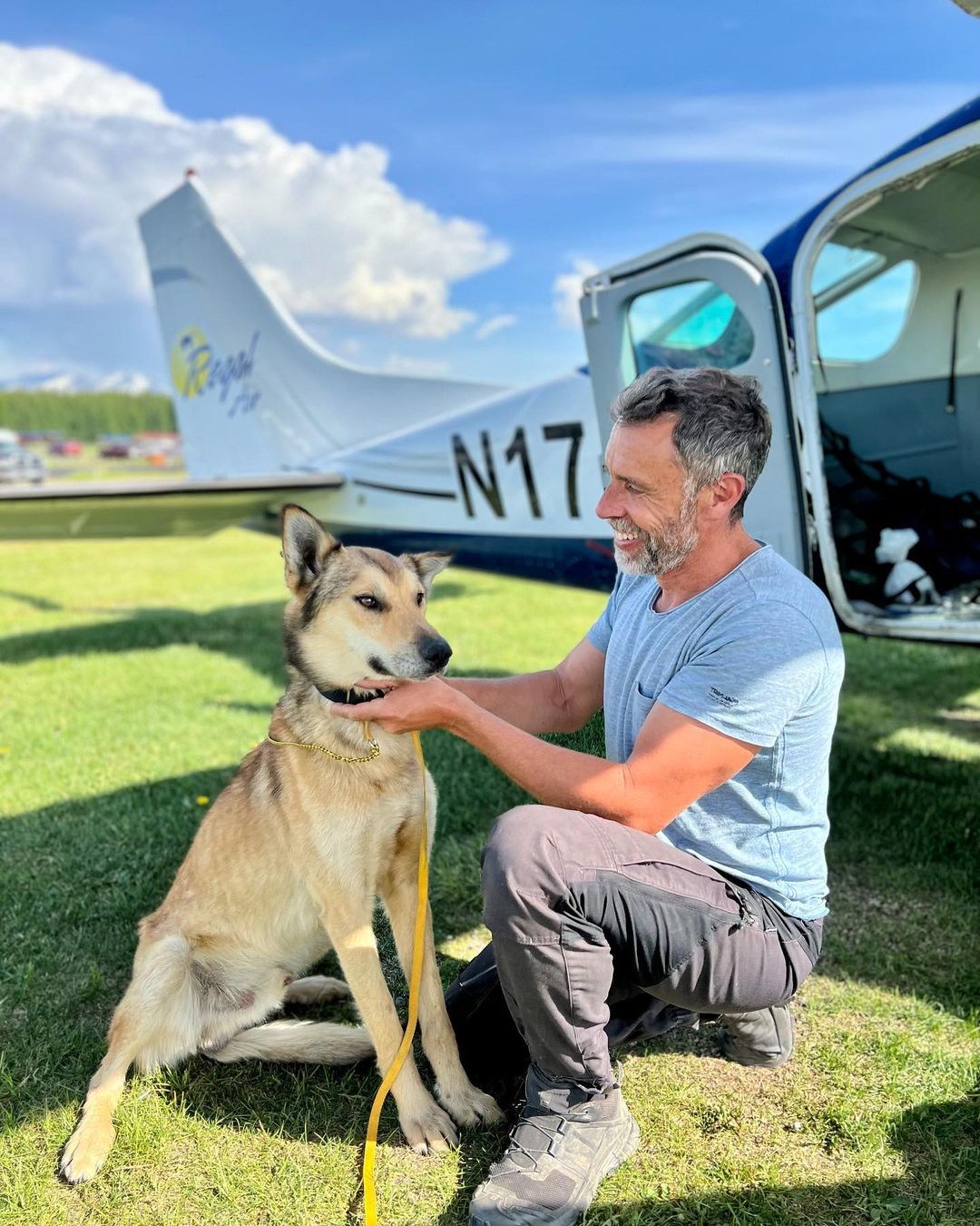 Leon, an Iditarod sled dog has been found after 3 months