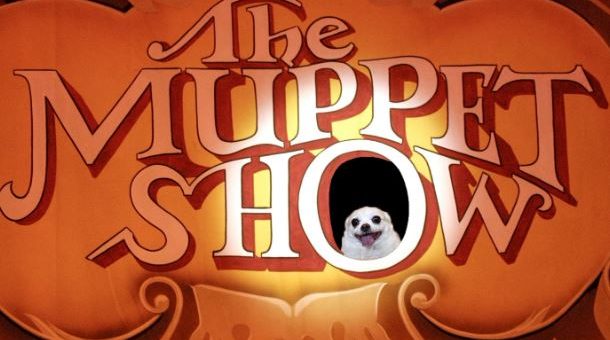 Reddit's Photoshop Battles Make Cute Dog Memes