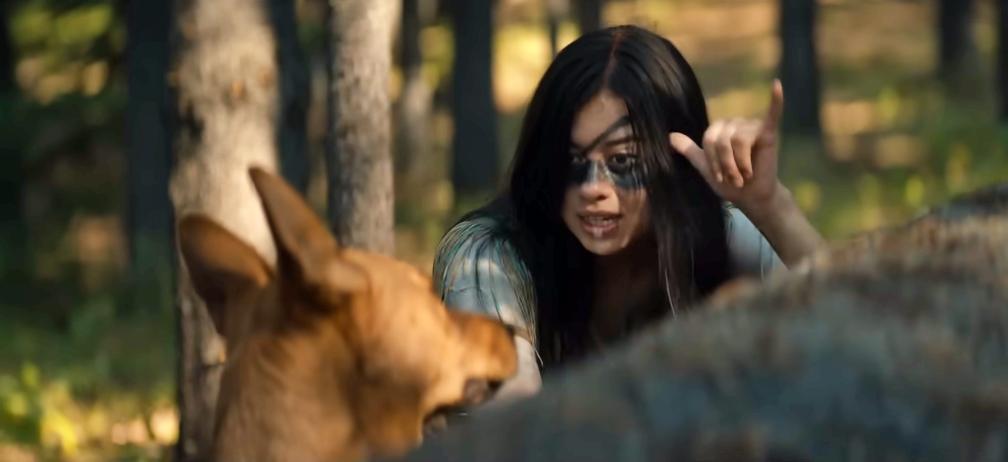 Coco the American Dingo plays Sarii in Prey