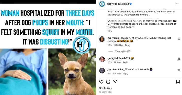 Dog Poop News Woman Gets Terribly Sick After Poop Got In Her Mouth