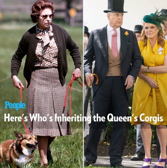 Where Will The Beloved Dogs Of Queen Elizabeth Live Now