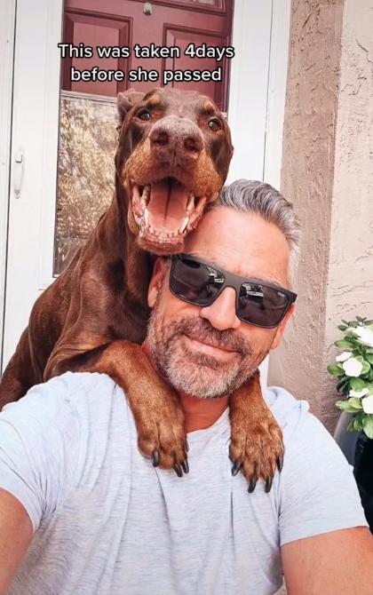 Ring doorbell video captures Ruby the Doberman and her owner in their last selfie on TikTok