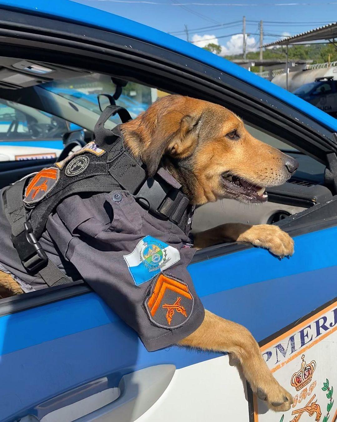 Corporal Oliveira