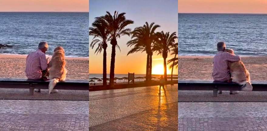 TikTok creator cries in viral video of man and dog watching the sunset