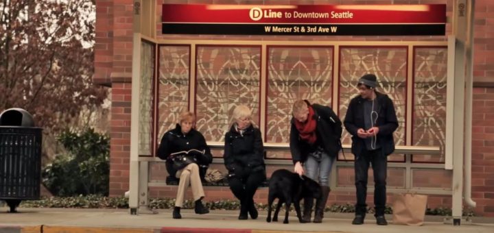 Eclipse the Seattle bus-riding dog waiting for the bus