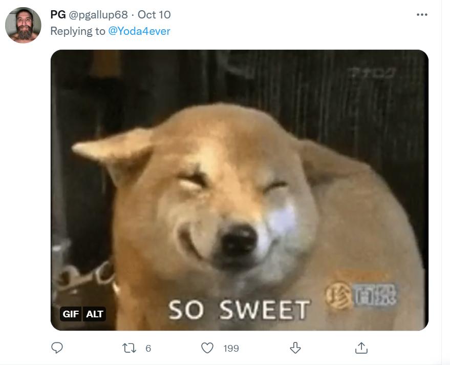 Twitter reacts to viral video of adult dog teaching a puppy to play ball
