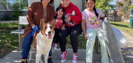 Virginia family finds their lost dog while looking for a new pet