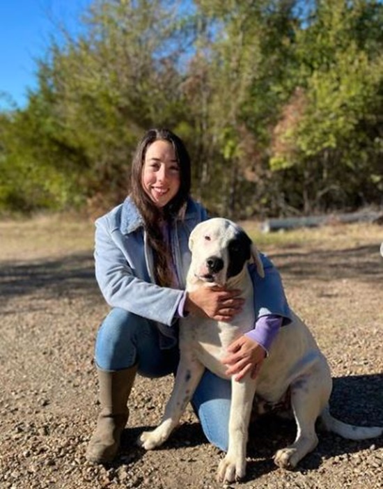 Ghost Might Have Bull Terrier Blood
