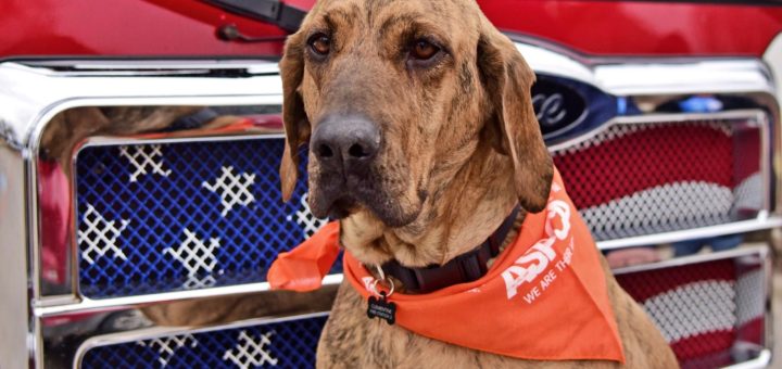 Clementine gets a new home and job