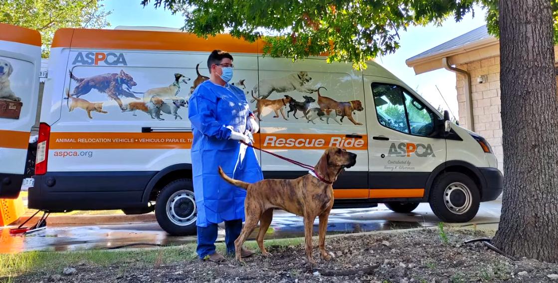 Clementine gets a new home and job