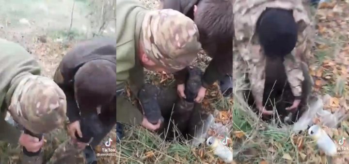 Ukrainian soldiers rescue a dog