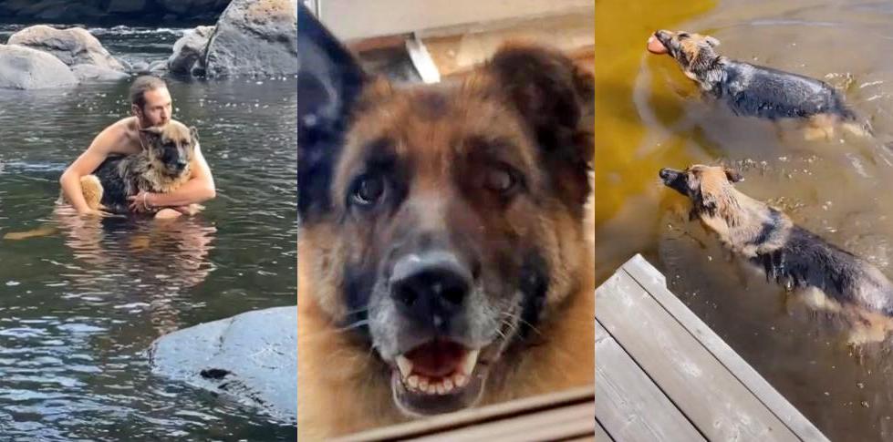 Canadrian couple adopt a senior dog who has had a rough life