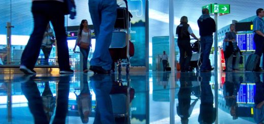 Dog went through TSA X-ray at an airport