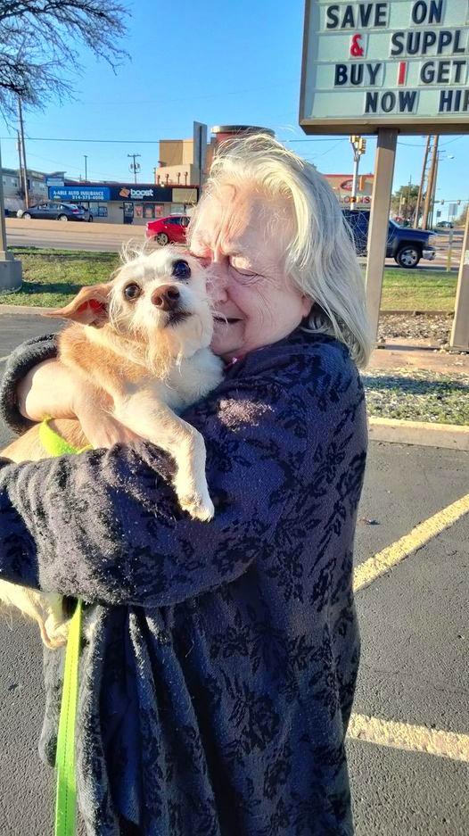 Ruff Start rescue reunited an elderly lady with her elderly dog, Baby Girl