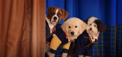 Pup Academy on Netflix