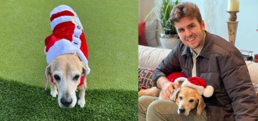 Joe Brown and his beagle, Buster