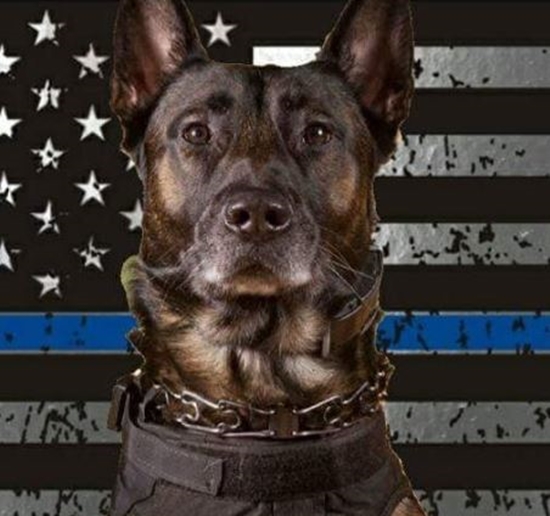 K9 Gold Of The Waverly Police Department Crossed The Rainbow Bridge
