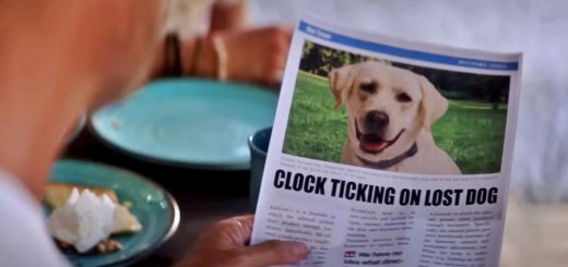 Netflix movie Dog Gone