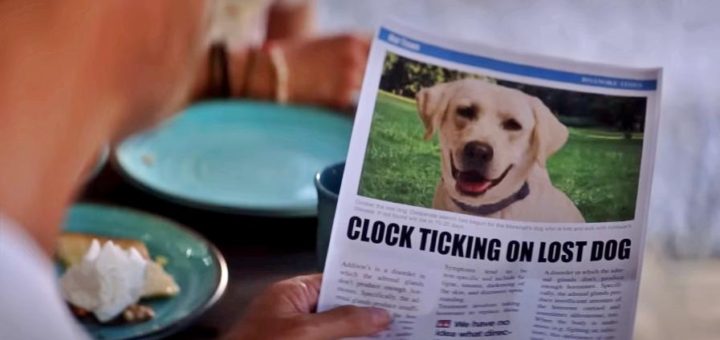 Netflix movie Dog Gone