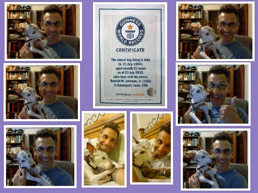 Previous holder of the Guinness World Record for oldest living dog