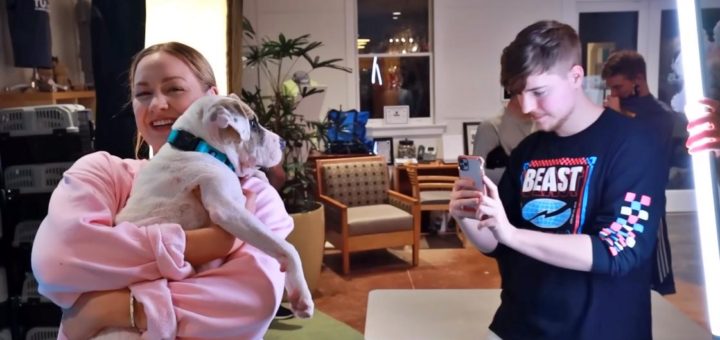 Millionaire YouTuber MrBeast gets a whole dog shelter adopted