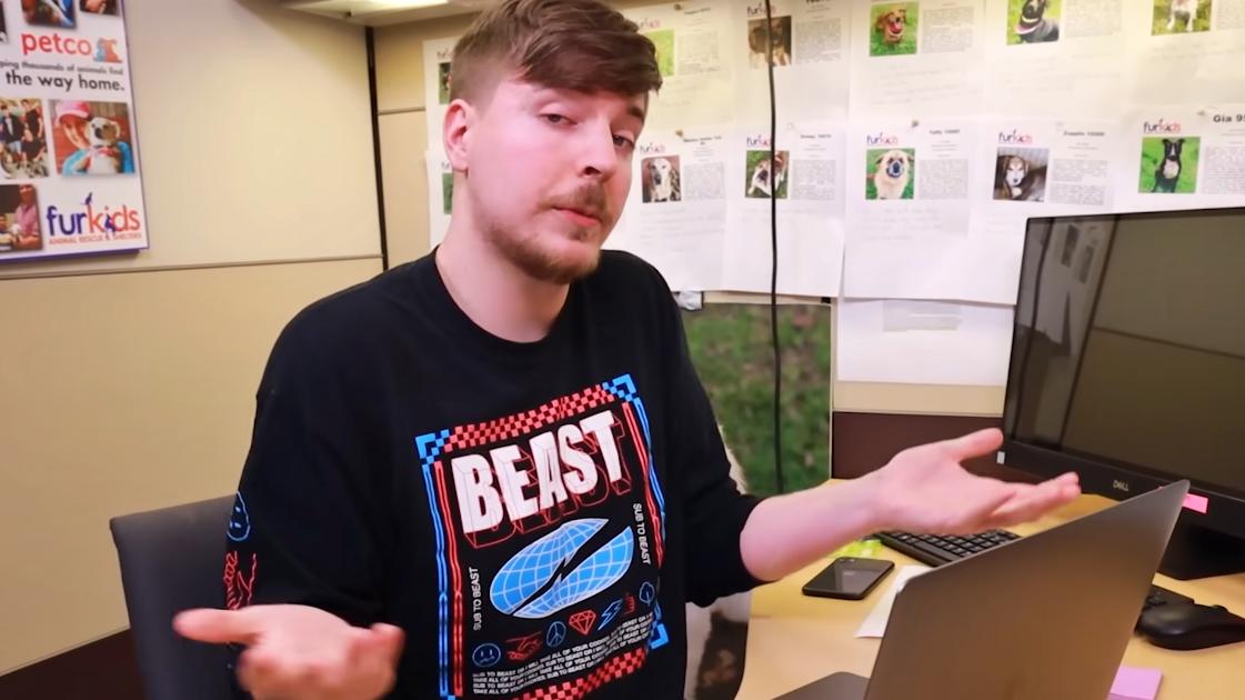 Millionaire YouTuber MrBeast gets a whole dog shelter adopted