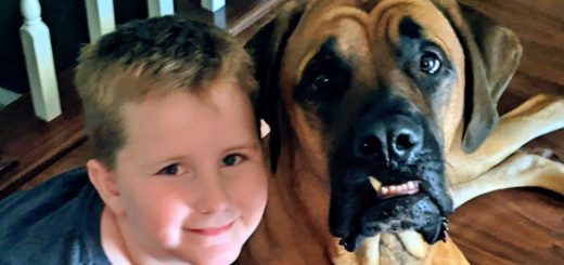 Dash and Peyton are best friends